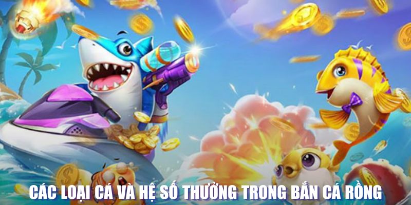 Bắn Cá Rồng - Thử Thách Chinh Phục Loài Sinh Vật Hiếm 6 Hệ thống cá trong tựa game này