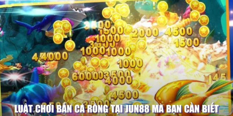 Bắn Cá Rồng - Thử Thách Chinh Phục Loài Sinh Vật Hiếm 5 Luật chơi đánh cá Rồng tại Jun88