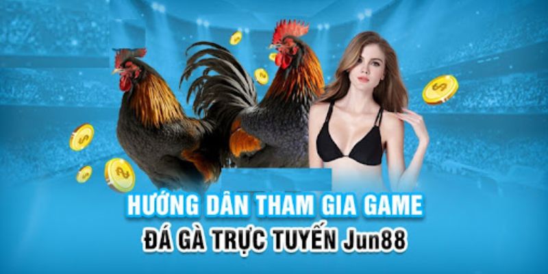 Đá Gà Campuchia - Loại Hình Giải Trí Hấp Dẫn Cho Người Chơi 7 Thao tác theo quy trình để xem đá gà