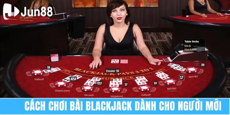 Blackjack Là Gì? Kiến Thức Dễ Hiểu Cho Tân Thủ 2025 6 Cách chơi bài Blackjack dành cho người mới