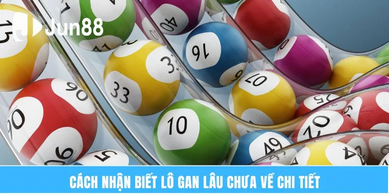 Cách nhận biết lô gan lâu chưa về chi tiết