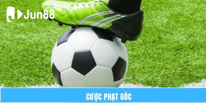 cuoc phat goc thume