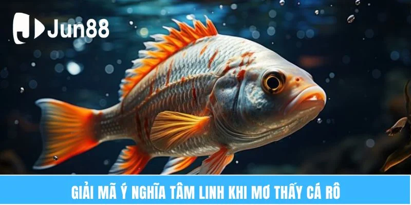 Ý Nghĩa Giấc Mơ Thấy Cá Rô – Giải Mã Vận May Bí Ẩn 6 Giải mã ý nghĩa tâm linh khi mơ thấy cá rô
