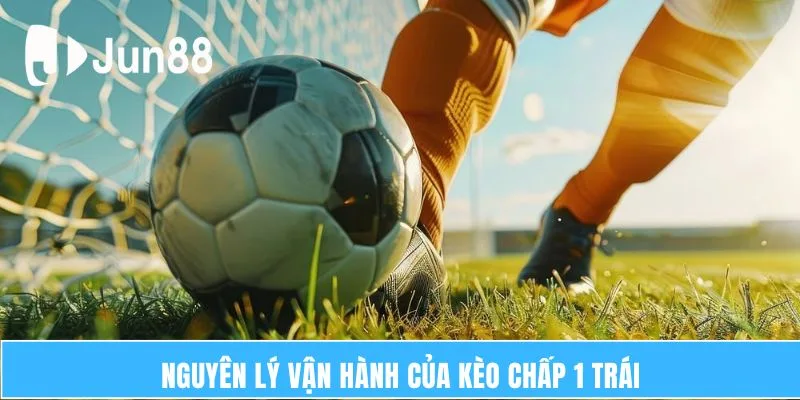 Kèo Chấp 1 Trái - Hình Thức Cá Độ Bóng Đá Phổ Biến 6 Nguyên lý vận hành của kèo chấp 1 trái
