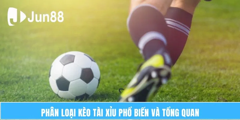 Kèo Tài Xỉu – Trò Chơi Dựa Trên Yếu Tố May Mắn Cá Nhân 6 Phân loại kèo tài xỉu phổ biến và tổng quan