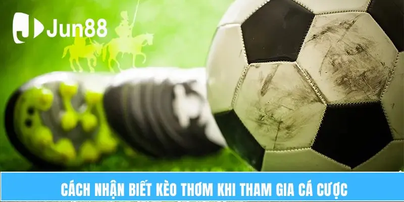 Kèo Thơm Bóng Đá Là Gì? Làm Thế Nào Để Nhận Biết? 6 Cách nhận biết kèo thơm khi tham gia cá cược