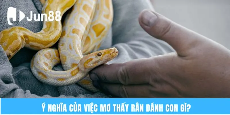 Ý nghĩa của việc mơ thấy rắn đánh con gì?