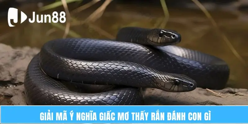 Giải mã ý nghĩa giấc mơ thấy rắn đánh con gì