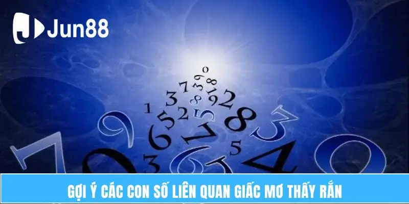 Gợi ý các con số liên quan giấc mơ thấy rắn