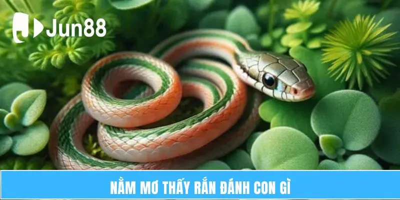 nam mo thay ran danh con gi thume