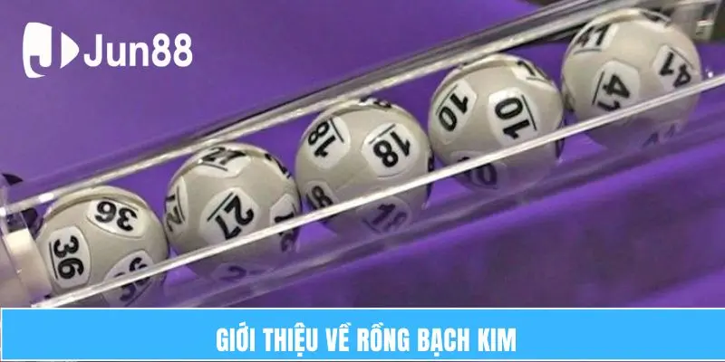 Rồng Bạch Kim Và Phương Pháp Soi Cầu Chính Xác Tại Jun88 5 Giới thiệu về Rồng Bạch Kim