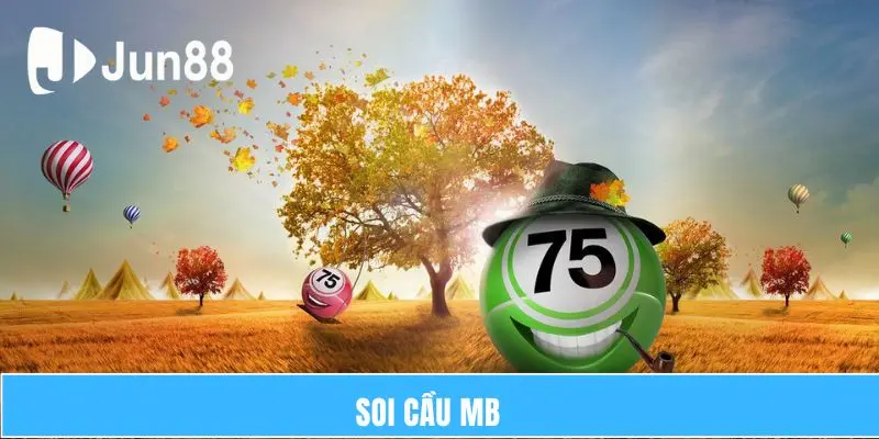 soi cau mb thume