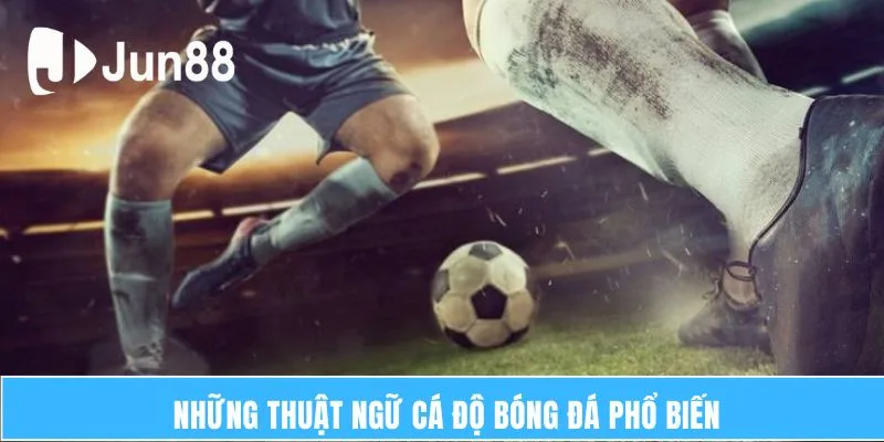 Những thuật ngữ cá độ bóng đá phổ biến