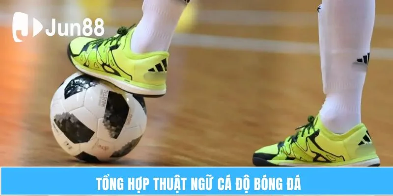 Tổng hợp thuật ngữ cá độ bóng đá