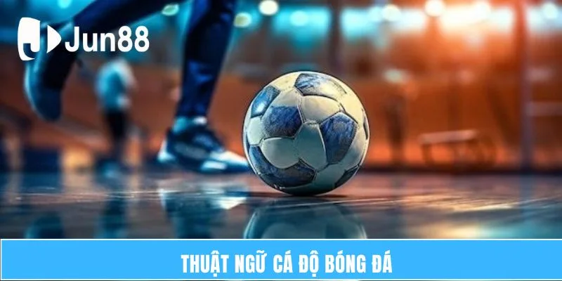 thuat ngu ca do bong da thume