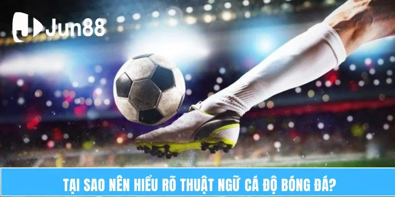 Tại sao nên hiểu rõ thuật ngữ cá độ bóng đá?